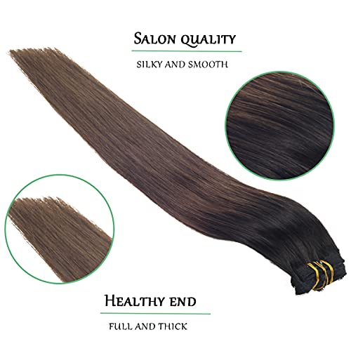 Balayage Clip in Human Hair Extensions 6 Pcs 100 Gram - Image 45