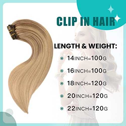 Double Weft Clip in Hair Extensions Human Hair - Image 2