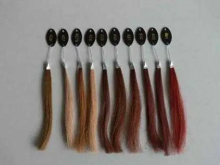 Human Hair Color Ring for Custom Made Wigs & Full Lace Human Wigs - Image 6