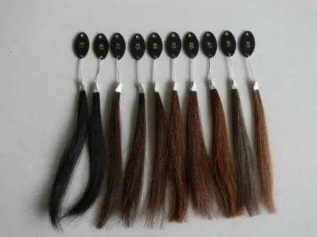 Human Hair Color Ring for Custom Made Wigs & Full Lace Human Wigs - Image 7