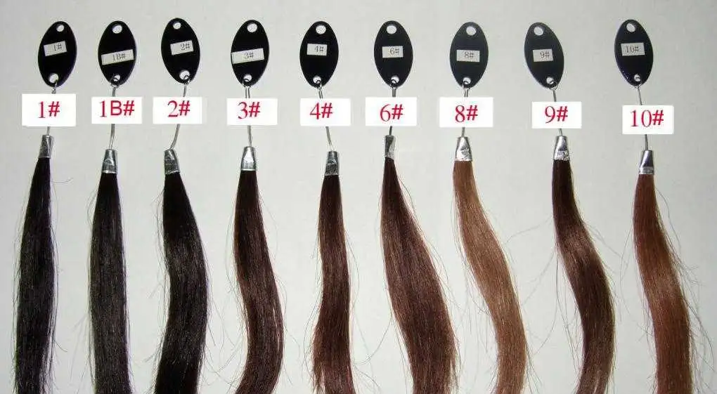 Human Hair Color Ring for Custom Made Wigs & Full Lace Human Wigs - Image 8