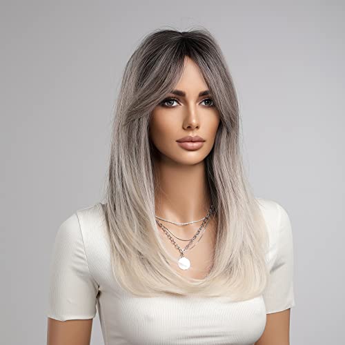 Heat Resistant Ash Gray Wig - Image 2