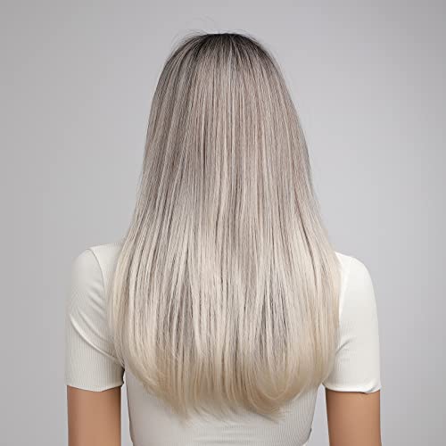 Heat Resistant Ash Gray Wig - Image 4