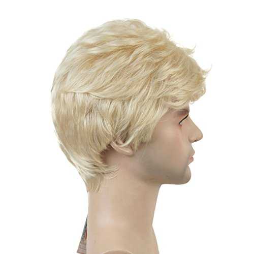 Short Straight Synthetic Mens Wig - Image 20