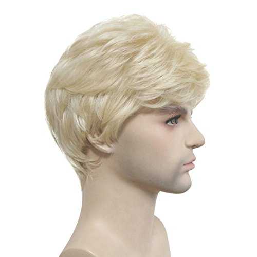 Short Straight Synthetic Mens Wig - Image 21
