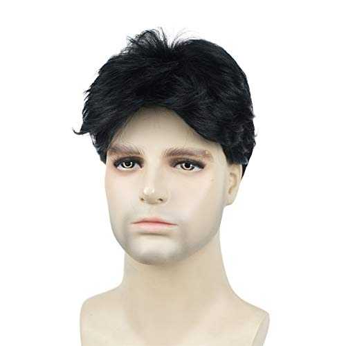 Short Straight Synthetic Mens Wig - Image 24
