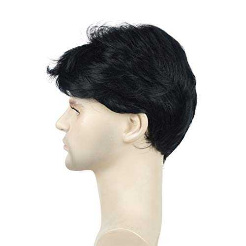 Short Straight Synthetic Mens Wig - Image 25
