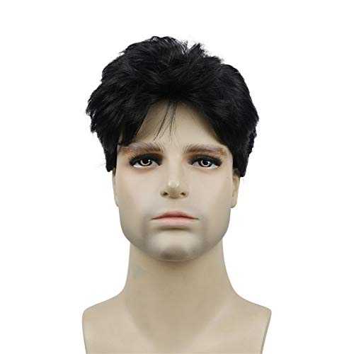 Short Straight Synthetic Mens Wig - Image 28