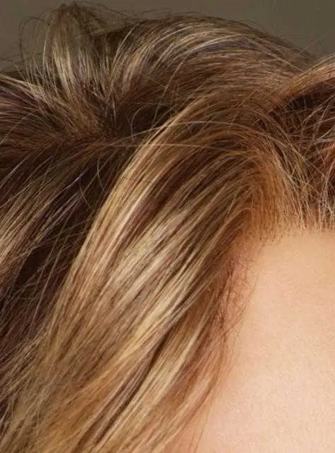 Spotlight Wig by Raquel Welch - Image 4